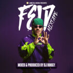 Feid Mixtape 2026 Cover