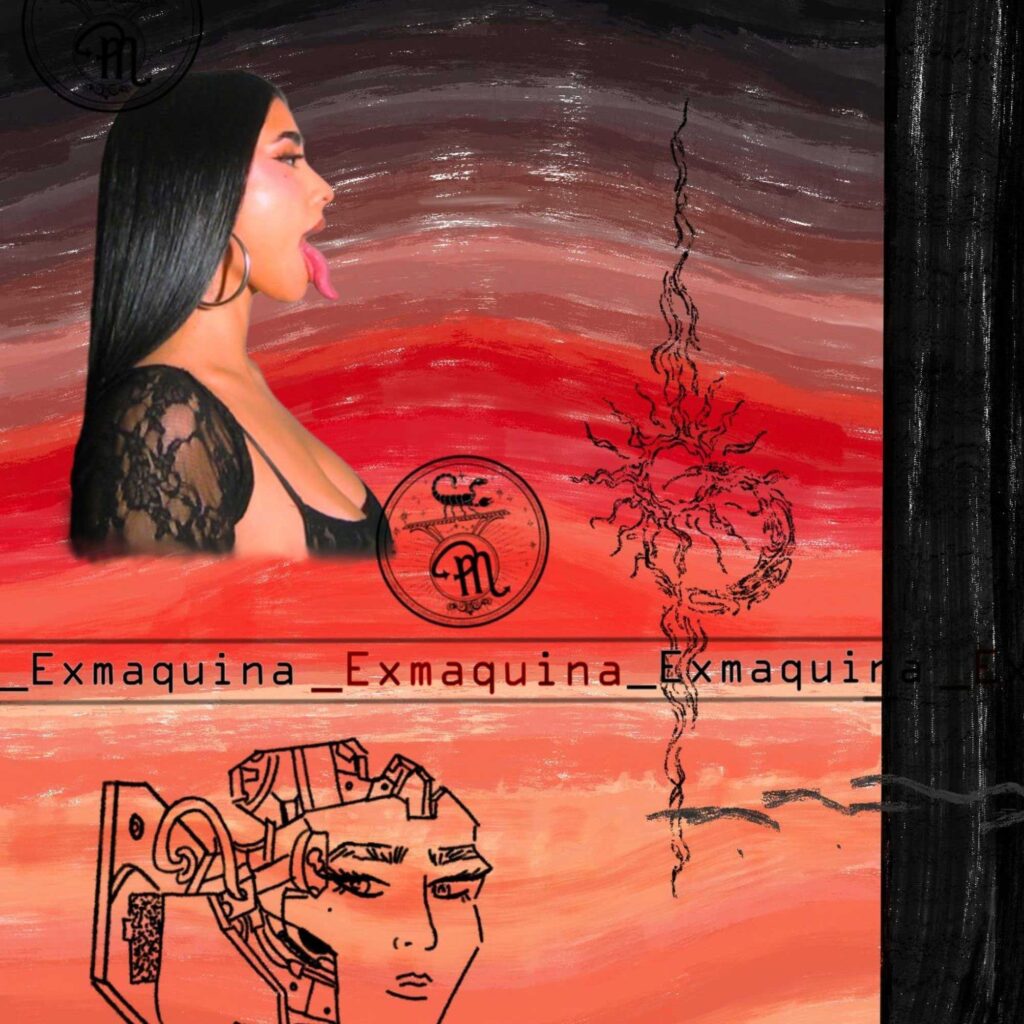 Paloma Mami Exmaquina single artwork with moody aesthetic
