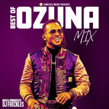 Best of Ozuna Mix Cover